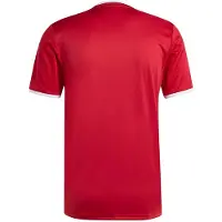 Adidas Entrada26-trøje med grafik, størrelse Small