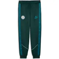 Puma Manchester City KING Anthem Pants Men, Sport, Green Terrain/Tropical Blue, S