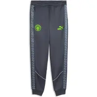 Puma Manchester City KING Anthem Pants Men, Sport, Galactic Gray/Pro Green, S