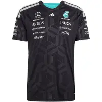 Adidas MERCEDES-AMG PETRONAS FORMULA 1 TEAM DRIVER TRØJE, størrelse 3XL