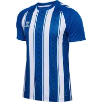 Hummel Match Striped T-shirt Med Korte ærmer
