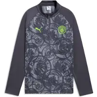 Puma Manchester City Warmup Quarter-Zip Top Youth, Football, Galactic Gray/Pro Green, 9-10Y