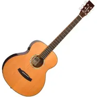 Tanglewood TRS1E Mini Smart Acoustic Natural
