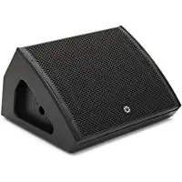 G4M 15" Active Stage Monitor / PA Speaker