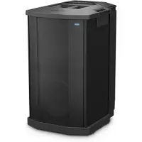 Bose F1 High Performance Subwoofer