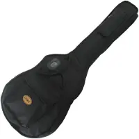 Gretsch G2162 Hollow Body Electric Guitar Gig Bag Black