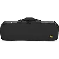 Tom and Will 4/4 Violin Case Black