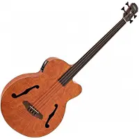 Aria FEB F2/FL Acoustic Bass Flame Nato Natural