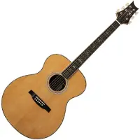 Paul Reed Smith PRS SE T60 Tonare Electro Acoustic Natural (2026)