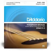 D'Addario EPBB170-5 Phosphor Bronze 5-String Acoustic Bass Strings
