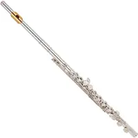 Yamaha YFL312 Student Model Flute Gold Lip Plate