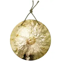 Dream Cymbals Dream 10 Feng Wind Gong
