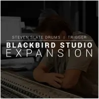 Steven Slate Drums Steven Slate SSD Blackbird Expansion