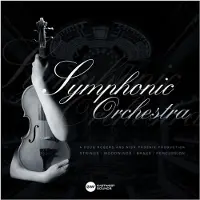 Eastwest Symphonic Orchestra Platinum
