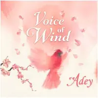 Soundiron Voice of Wind: Adey