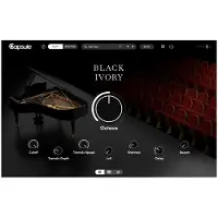 Capsule Audio Capsule Black Ivory