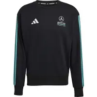 Adidas Sportsweatshirt 'Mercedes - AMG Petronas Formula 1 Team DNA' turkis / sort / hvid