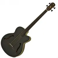Aria FEB-F2M/FL Medium Scale Fretless Bass Stained Black