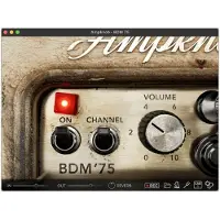 Bogren Digital Ampknob BDM 75