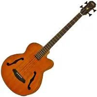 Aria FEB-F2M Medium Scale Bass Stained Brown