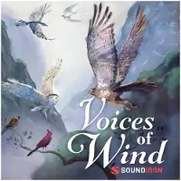 Soundiron Voices Of Wind Collection