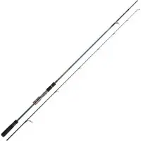 Daiwa Tournament Ags Spinnestang