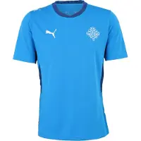 Puma Fodboldtrøje 'Island 2026' navy / royalblå / hvid