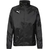 Puma Sportsjakke 'TeamGOAL' sort / hvid