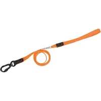 Axaeco Action Hundesnor