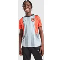 Nike Chelsea Trænings T-Shirt Dri-FIT Academy Pro Pre Match SE - Grå/Orange/Blå Børn - , størrelse XS: 122-128 cm