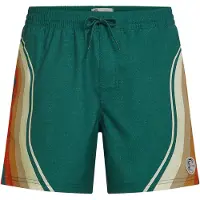 O'Neill Badeshorts beige / cognac / mokka / grøn