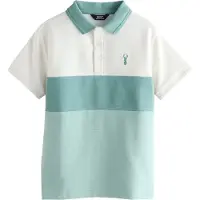 Next Shirts grøn / hvid