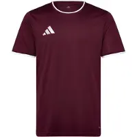 Adidas Entrada26 trøje, størrelse X-Small