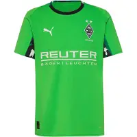 Puma Borussia Mönchengladbach 25/26 Away Jersey Men, Sport, Green/Warm White, L