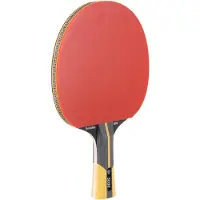 Dunlop Revolution 5000 Bordtennisbat