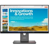 Lenovo ThinkVision P24QD-40 23,8" QHD-skærm USB-C Docking