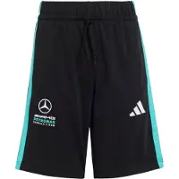 Adidas Mercedes - Amg Petronas Formula 1 Team Dna Shorts, størrelse 164 cm