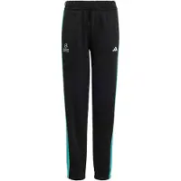 Adidas Mercedes - Amg Petronas Formula 1 Team Dna Bukser, størrelse 176 cm