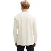 Tom Tailor DENIM Bluser & t-shirts antracit / mint / naturhvid