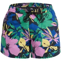 Quiksilver Everyday Printed Volley 15´´ Badeshorts