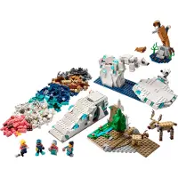 LEGO Naturfag: Arktiske dyr 45203