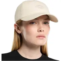 Dickies Duck Canvas Dad Kasket