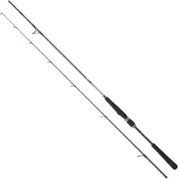 Daiwa Saltist Seabass Spinnestang