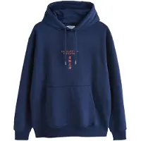 Next Sweatshirt 'Hokusai' navy / lyseblå / koral