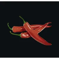 Wenko glaskogeplade HOT PEPERONI, 60 x 70 cm