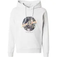 Jack & Jones Sweatshirt 'JJHONOLULU' pastelgrøn / orange / sort / hvid-meleret