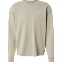 Hollister Bluser & t-shirts siv