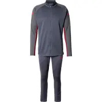 Puma Sportsdragt 'IndividualLIGA' marin / grafit / blodrød