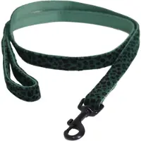 Kentucky Leopard Hundesnor