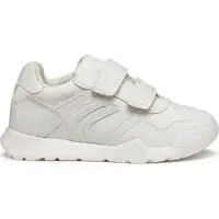 Geox Rann-e Junior Sneakers Uden Snørebånd